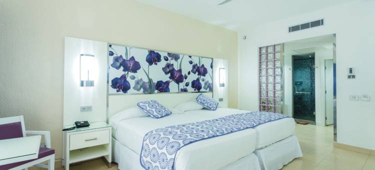 普拉亚卡尔悦宜湾酒店-全包(Riu Playacar - All Inclusive)图片