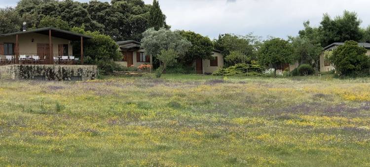 靠近阿尔克诺克酒店(La Cerca Del Alcornoque)图片