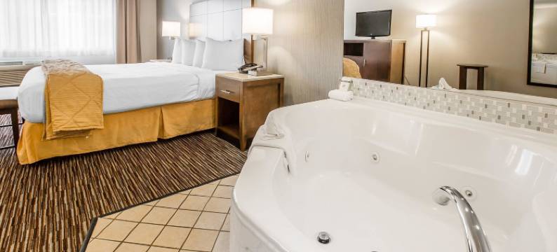 贺茂沙海滩凯艺套房酒店(Quality Inn & Suites Hermosa Beach)图片