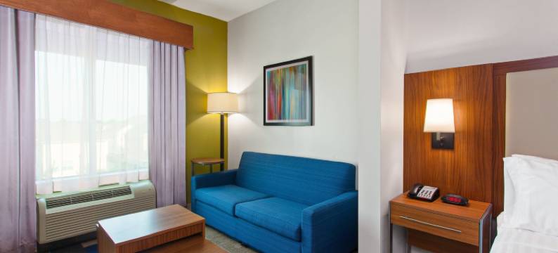 智选假日套房酒店-休斯顿西北/赛普拉斯290号高速路(Holiday Inn Express & Suites HOUSTON NW - HWY 290 CYPRESS by IHG)图片