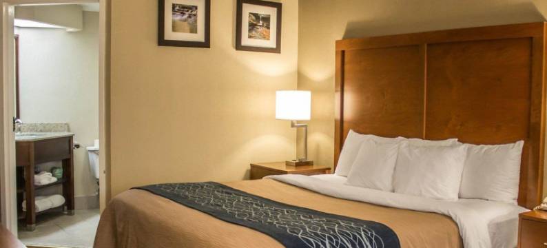 品质酒店(Quality Inn)图片