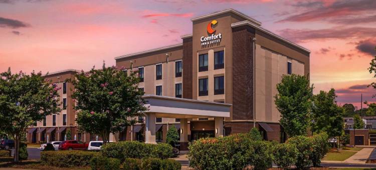 克罗斯普雷克斯乡村舒适套房酒店(Comfort Inn & Suites at CrossPlex Village)图片