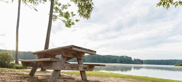 弥里迪安的Studio 6，MS - Bonita Lakes(Studio 6 Meridian, MS – Bonita Lakes)图片