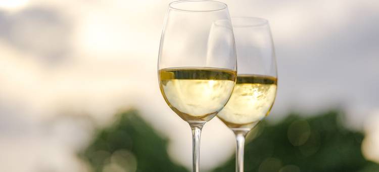 ADC - 卡瓦里奥旅馆 - Unlock Hotels 集团(Adc - Albergaria Do Calvário - by Unlock Hotels)图片