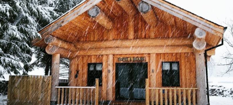 布莱斯蒂森林 - 希望与光芒(Braisty Woods - Hopes & Beams)图片