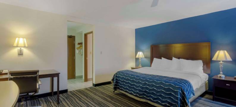 纳什维尔/布伦特伍德贝蒙特旅馆套房酒店(Comfort Inn & Suites)图片