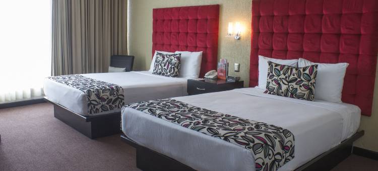 图斯特拉-古铁雷斯品质酒店(Hotel Vista Inn Premium)图片