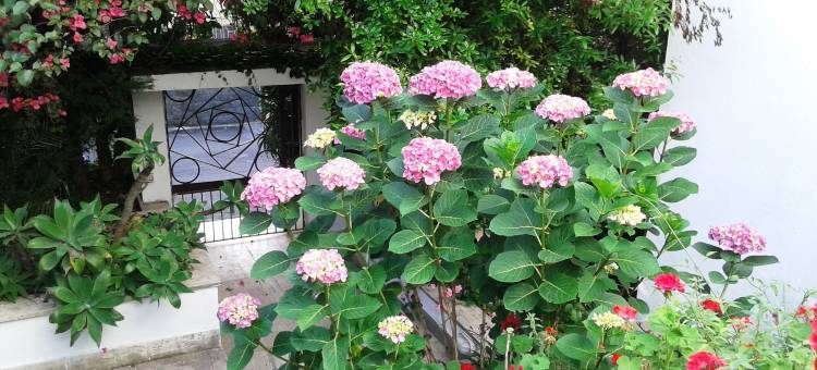 安娜别墅花园住宿加早餐旅馆(B&B Il Giardino di Villa Anna)图片