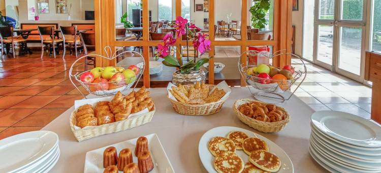 卡斯特尔布里特酒店(Brit Hotel Confort Castres)图片