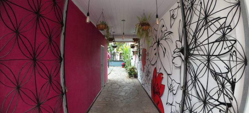 奇拉加托帕拉蒂 - 旅舍(Che Lagarto Paraty)图片