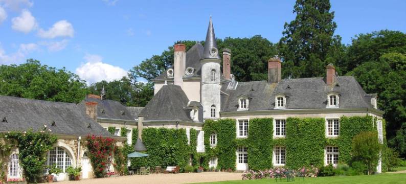 城堡连锁普莱西-安茹酒店(Château du Plessis - Anjou)图片