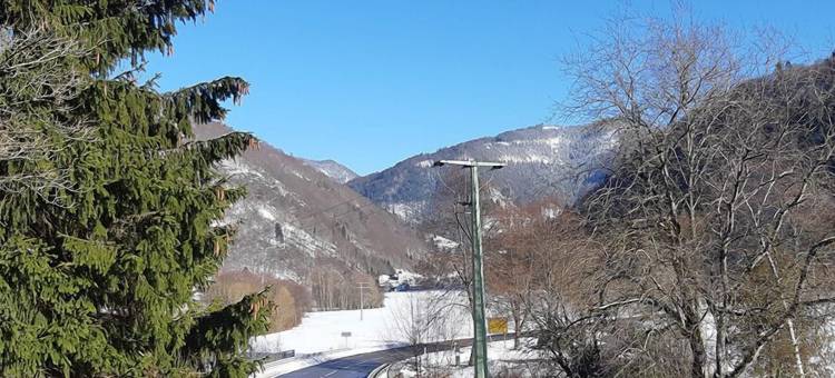 巴拿巴庄园在恩格尔-恩格尔客栈(Haus Barnabas im Engel, Gasthaus Engel)图片