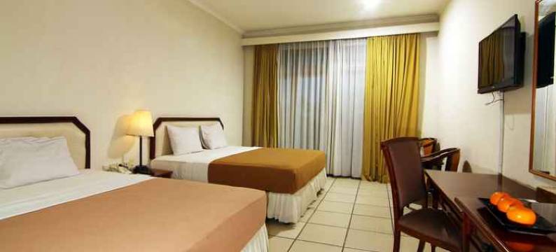 沙拉笛加埃莫里克萨里布普提酒店(D'Emmerick Salib Putih Hotel Salatiga)图片