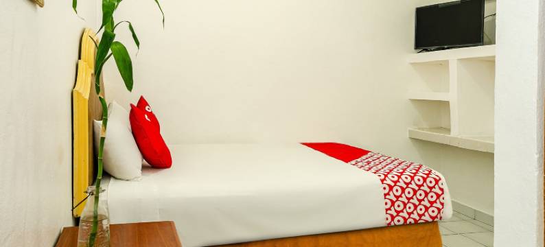 OYO酒店卡波德尔苏尔-卡波圣卢卡斯(OYO Hotel Cabo Del Sur, Cabo San Lucas)图片