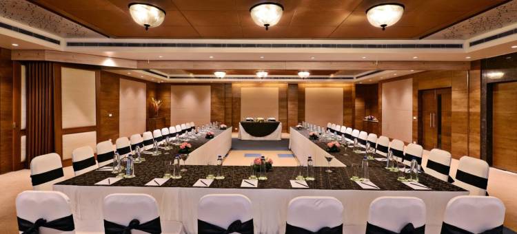 参纳卡休闲大酒店(Leisure Inn Grand Chanakya)图片