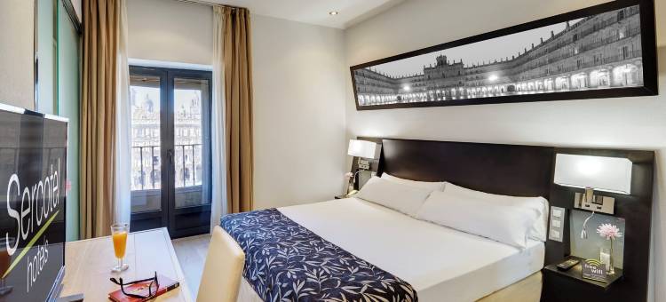 拉斯托雷斯斯考特而酒店(Sercotel Las Torres)图片