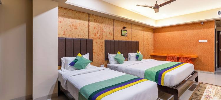 Treebo D Grand图片