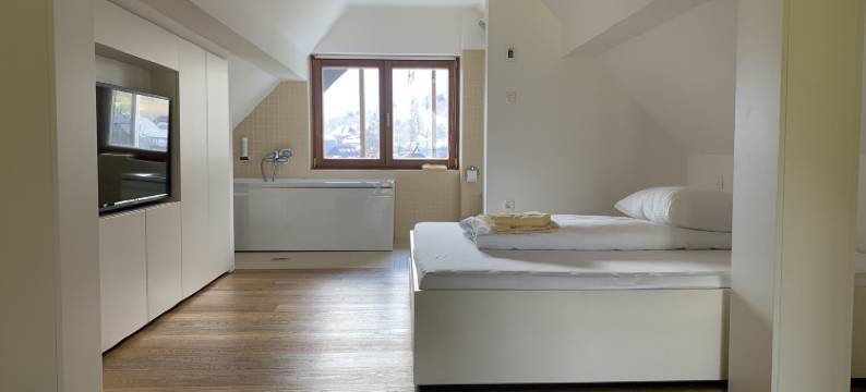 三杰 OB 索兹酒店(Hotel Sanje ob Soči /)图片