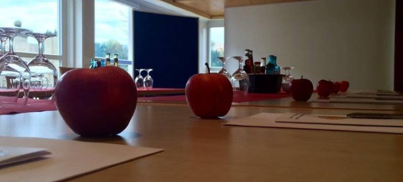 克罗纳赫经济型酒店(Economy Hotel Kronach)图片