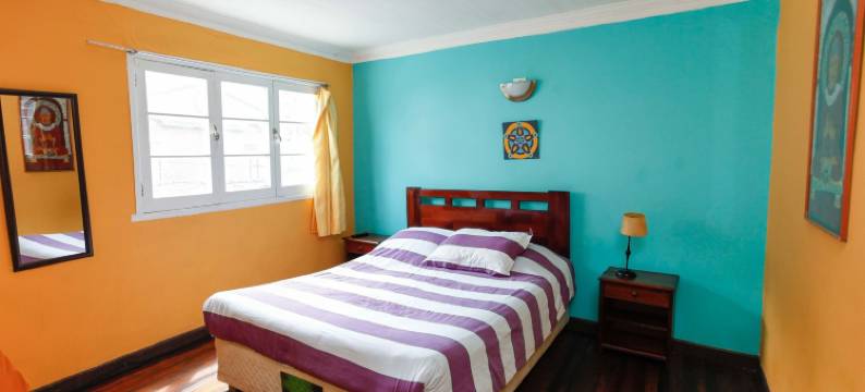 紫色柠檬之家酒店(Casa Violeta Limón)图片