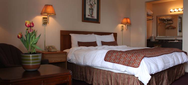 丽晶酒店(Regency Inn Eureka Springs)图片