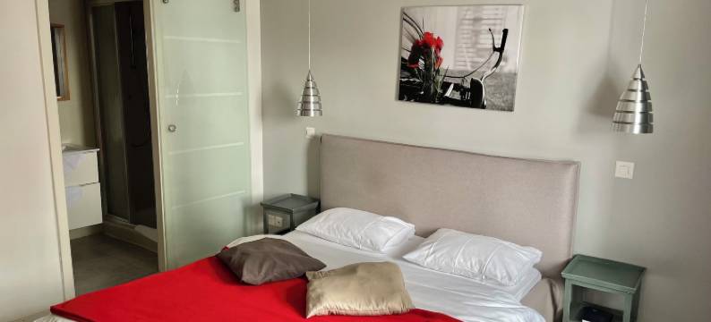 瑞拉斯德阿德罗姆酒店(Relais de l'Aérodrome)图片