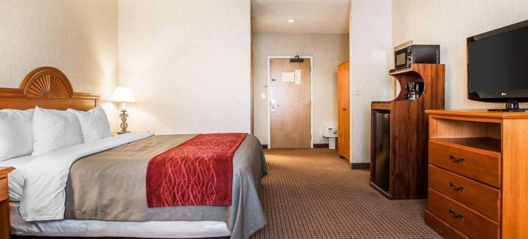 凯艺酒店(Quality Inn)图片