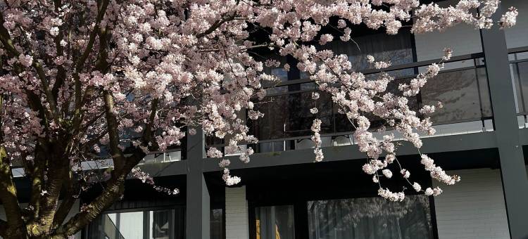 默尔斯凡德瓦克酒店(Hotel Moers van der Valk)图片