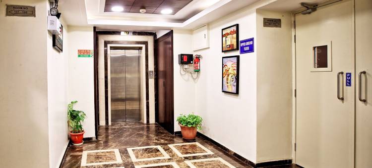 玫瑰锦葵酒店新德里(RoseMallow Hotel New Delhi)图片