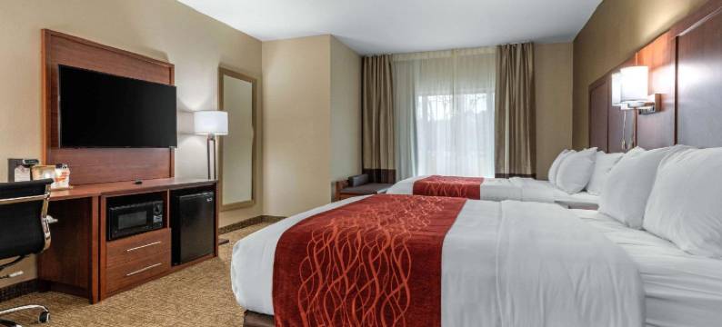 蒙哥马利东卡迈克尔路舒适套房酒店(Comfort Inn & Suites Montgomery East Carmichael Rd)图片