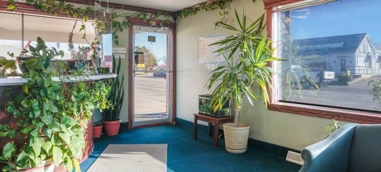 OYO利伯勒尔堪萨斯酒店(OYO Hotel Liberal, Kansas)图片