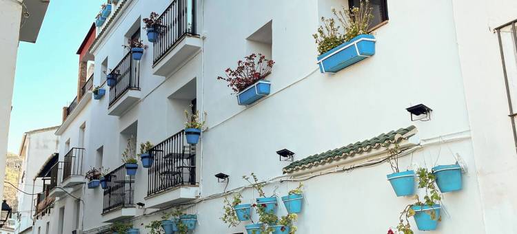 托洛克斯内韦斯山精品旅馆(Hostal Boutique Tolox Sierra Nieves)图片
