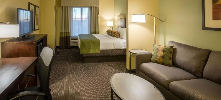 邓肯维尔达拉斯贝斯特韦斯特优质酒店(Best Western Plus Duncanville Dallas)图片