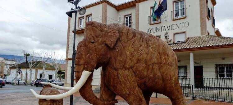 纳兰霍斯农村公寓青年旅舍(Hostal y Apartamento Rural Los Naranjos)图片