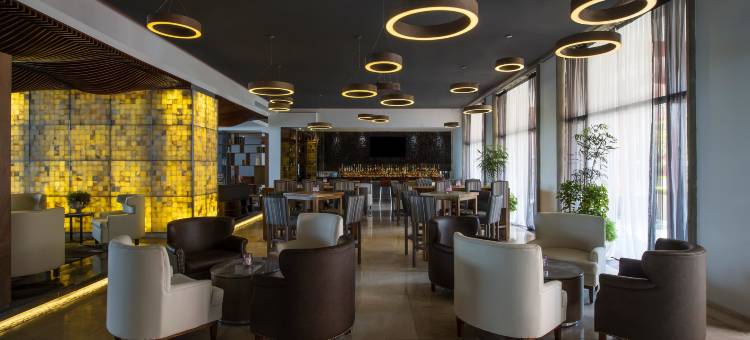 盛大嘉年华美洲奎雷塔罗酒店(Grand Fiesta Americana Queretaro)图片