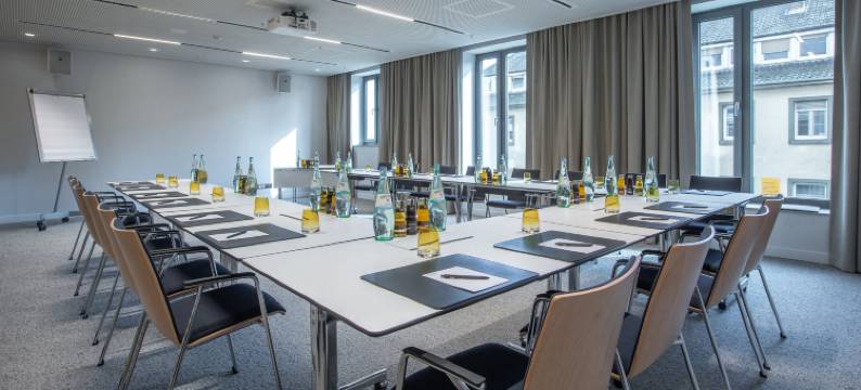 曼海姆希尔顿花园酒店(Hilton Garden Inn Mannheim)图片