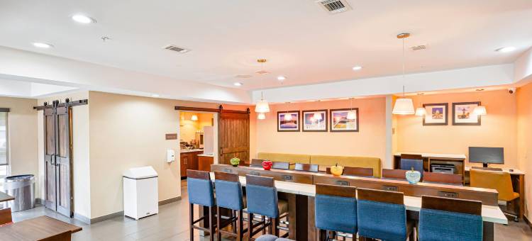 蒙哥马利东卡迈克尔路舒适套房酒店(Comfort Inn & Suites Montgomery East Carmichael Rd)图片