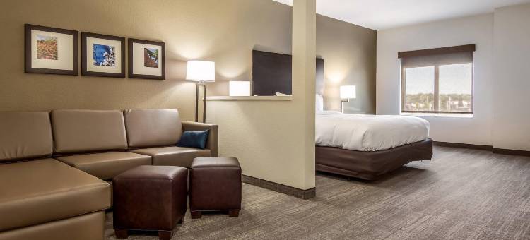 康福特套房布伦瑞克镇中心(Comfort Suites Brunswick Town Center)图片