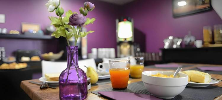 里昂拉玛蒂娜公寓式酒店(Residhotel Lyon Lamartine)图片