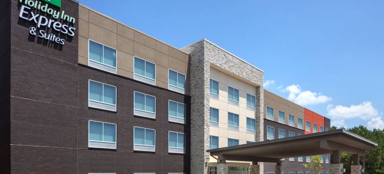 布福德乔治亚商城智选假日套房酒店(Holiday Inn Express & Suites BUFORD – MALL OF GEORGIA)图片