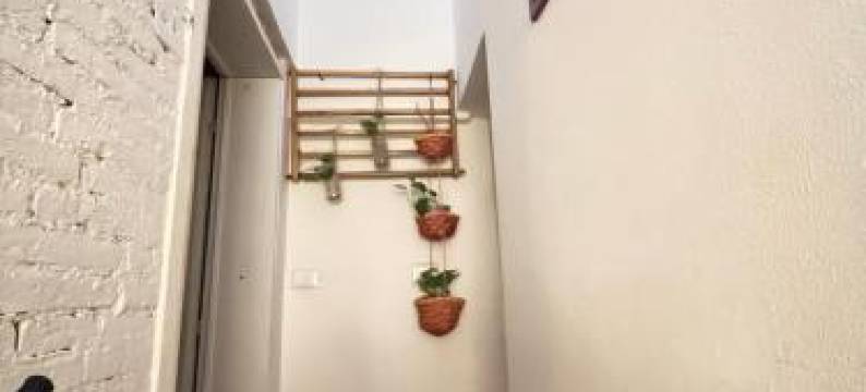 公寓(Stella Apartment)图片