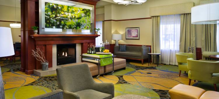 底特律市区希尔顿花园旅馆(Hilton Garden Inn Detroit Downtown)图片