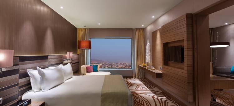 齐普尔市中心假日酒店(Holiday Inn Jaipur City Centre)图片