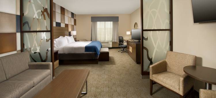 南普拉特维尔智选假日套房酒店(Holiday Inn Express & Suites Waco South)图片