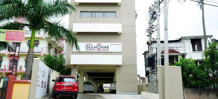 高莫哈大酒店(Hotel Gulmohar Grand)图片