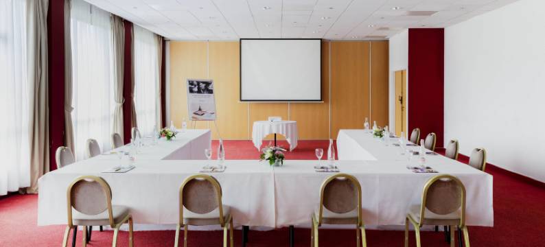 内福尔卢尔桥美居酒店(Hôtel Mercure Nevers Pont de Loire)图片