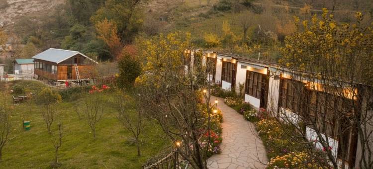 SnugBug 卡索尔(SnugBug Kasol)图片