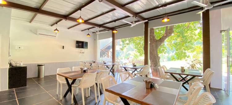 绿色丛林度假村(The Green Jungle Resort)图片