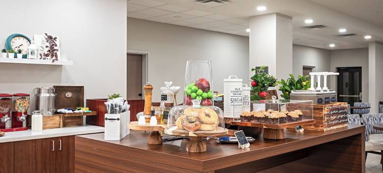 奥兰多布纳维斯塔湖佩斯塔纳套房酒店(Pestana Orlando Suites - Lake Buena Vista)图片