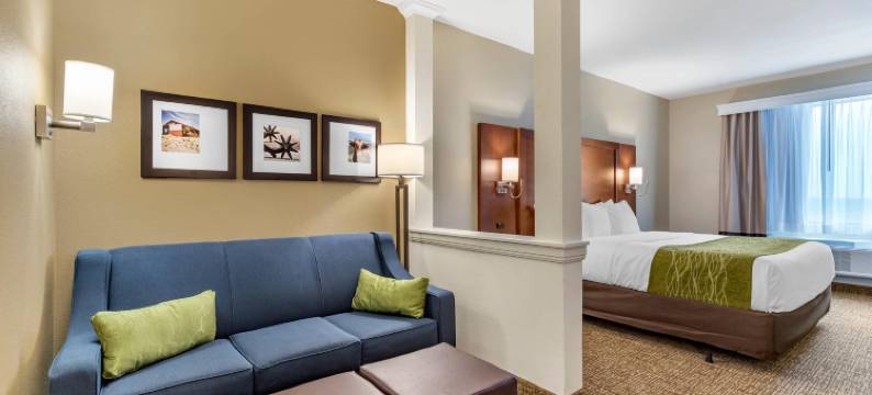 圣安东尼奥-萨姆休斯堡-军事医疗中心舒适套房酒店(Comfort Suites San Antonio Ft Sam Houston-Sammc Area)图片